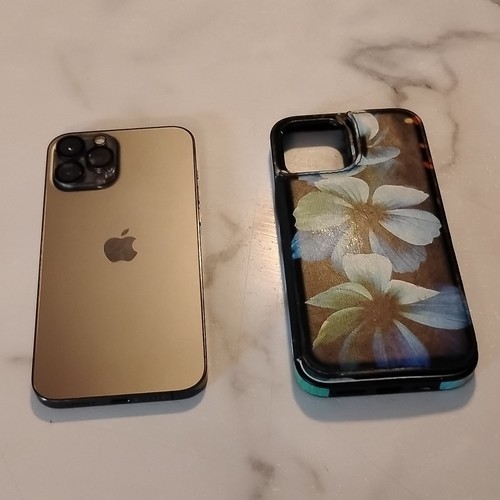 Iphone pro max 256gb - 12,