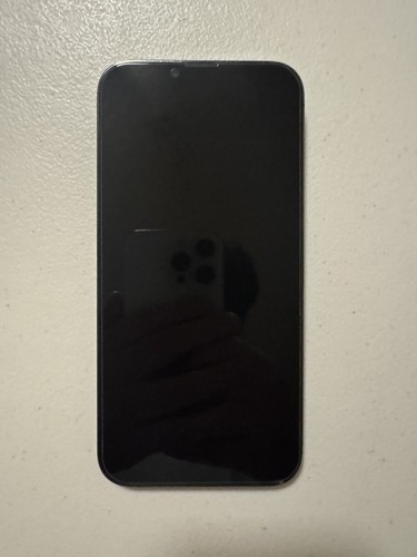 Apple iphone pro max gray - 13,
